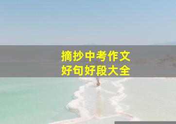 摘抄中考作文好句好段大全