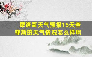 摩洛哥天气预报15天查菲斯的天气情况怎么样啊