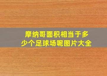 摩纳哥面积相当于多少个足球场呢图片大全