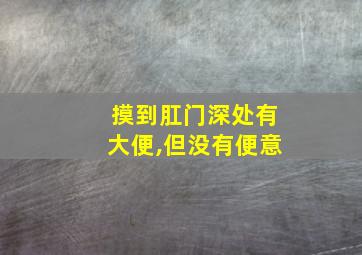 摸到肛门深处有大便,但没有便意