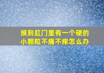 摸到肛门里有一个硬的小颗粒不痛不痒怎么办