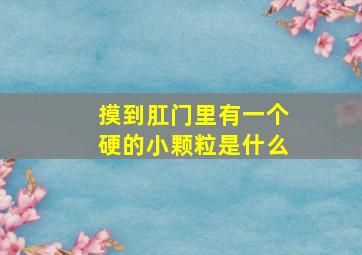 摸到肛门里有一个硬的小颗粒是什么