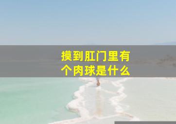 摸到肛门里有个肉球是什么