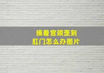 摸着宫颈歪到肛门怎么办图片