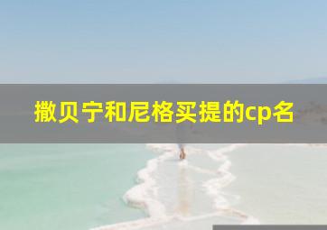 撒贝宁和尼格买提的cp名