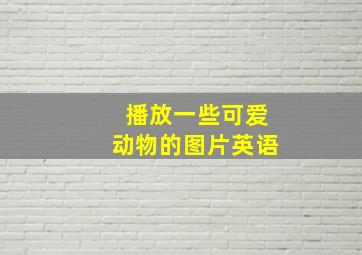 播放一些可爱动物的图片英语