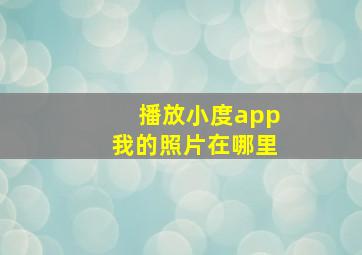 播放小度app我的照片在哪里