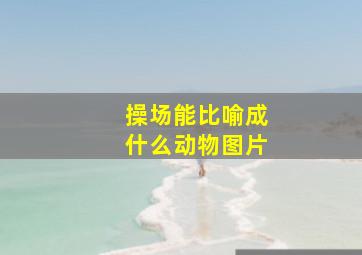 操场能比喻成什么动物图片