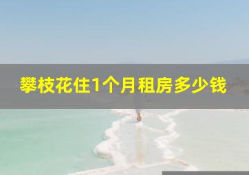 攀枝花住1个月租房多少钱