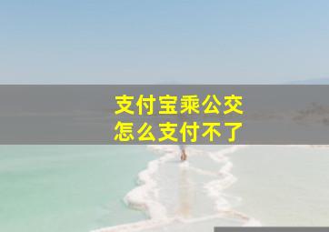 支付宝乘公交怎么支付不了