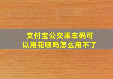 支付宝公交乘车码可以用花呗吗怎么用不了