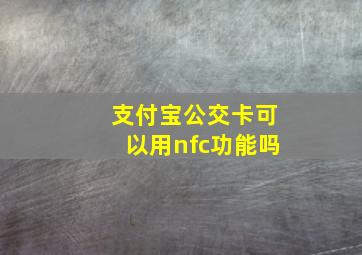 支付宝公交卡可以用nfc功能吗