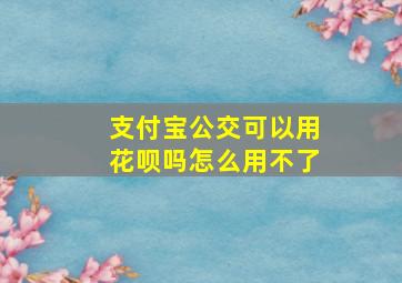 支付宝公交可以用花呗吗怎么用不了