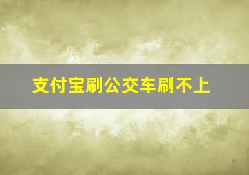 支付宝刷公交车刷不上