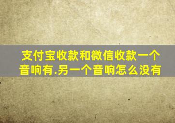 支付宝收款和微信收款一个音响有.另一个音响怎么没有