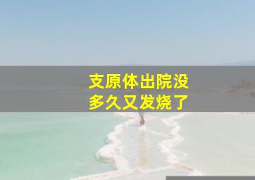 支原体出院没多久又发烧了