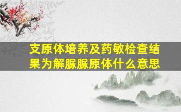 支原体培养及药敏检查结果为解脲脲原体什么意思