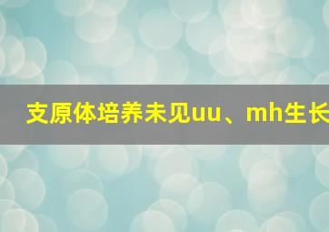 支原体培养未见uu、mh生长