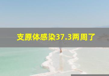 支原体感染37.3两周了