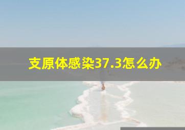 支原体感染37.3怎么办