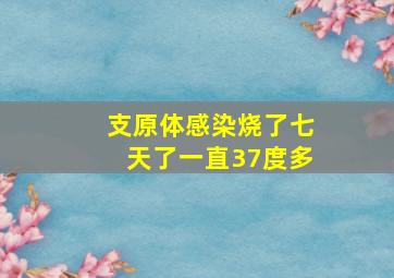 支原体感染烧了七天了一直37度多