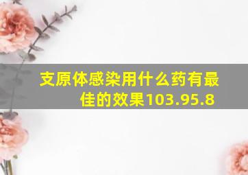 支原体感染用什么药有最佳的效果103.95.8