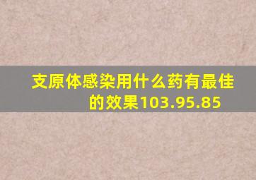 支原体感染用什么药有最佳的效果103.95.85