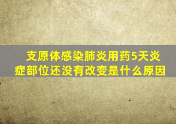 支原体感染肺炎用药5天炎症部位还没有改变是什么原因