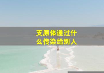 支原体通过什么传染给别人