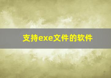 支持exe文件的软件