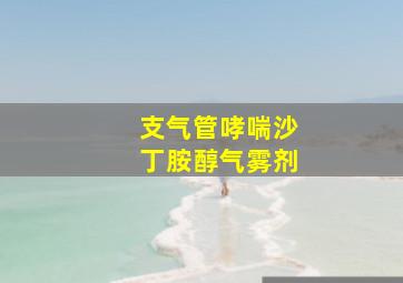 支气管哮喘沙丁胺醇气雾剂