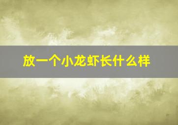 放一个小龙虾长什么样