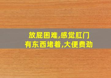 放屁困难,感觉肛门有东西堵着,大便费劲