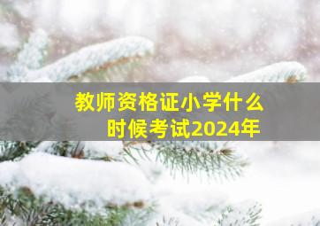 教师资格证小学什么时候考试2024年