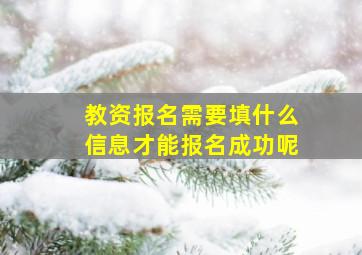 教资报名需要填什么信息才能报名成功呢