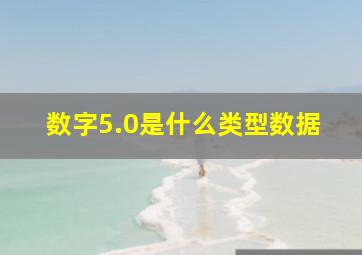 数字5.0是什么类型数据