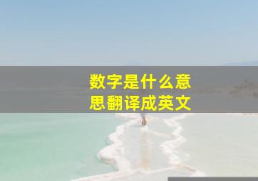 数字是什么意思翻译成英文