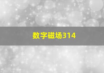 数字磁场314