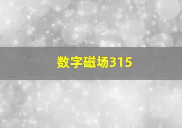 数字磁场315