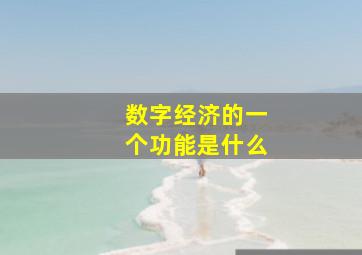 数字经济的一个功能是什么