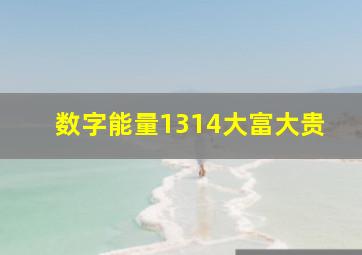 数字能量1314大富大贵