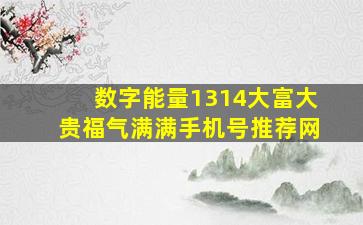 数字能量1314大富大贵福气满满手机号推荐网