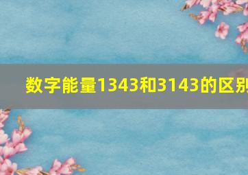 数字能量1343和3143的区别