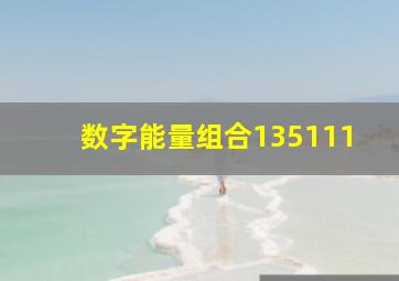 数字能量组合135111