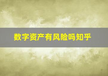 数字资产有风险吗知乎