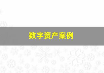 数字资产案例