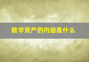 数字资产的内涵是什么