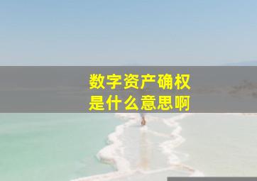 数字资产确权是什么意思啊