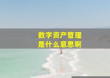 数字资产管理是什么意思啊