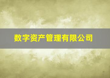 数字资产管理有限公司